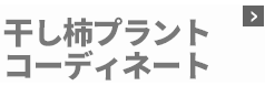 干し柿プラントコーディネート